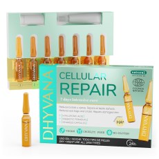 Dhyvana Ampulli Cellular Repair