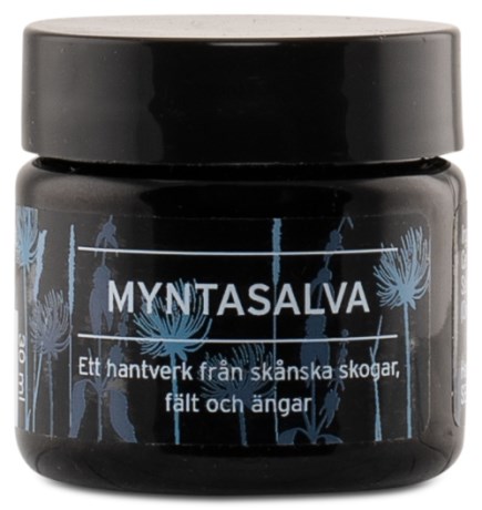 Pienoiskuva Herbasensian Minttuvoide , 30 ml