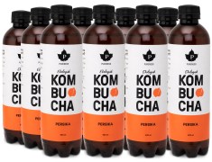 Pureness Kombucha Luomu 