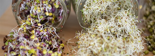 Idtyskoulu - Idt kotona