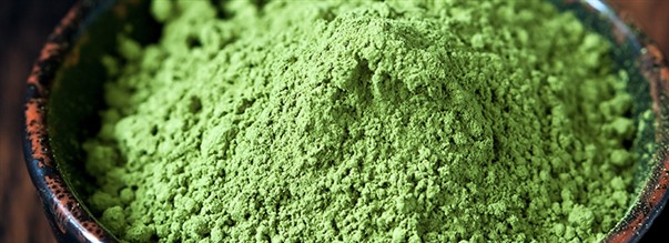 Kaikki suositusta matcha-terveysjuomasta