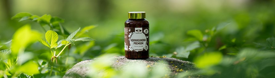 Healthwell Ashwagandha Premium