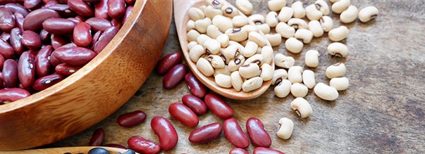 Mit ovat fytoestrogeenit?