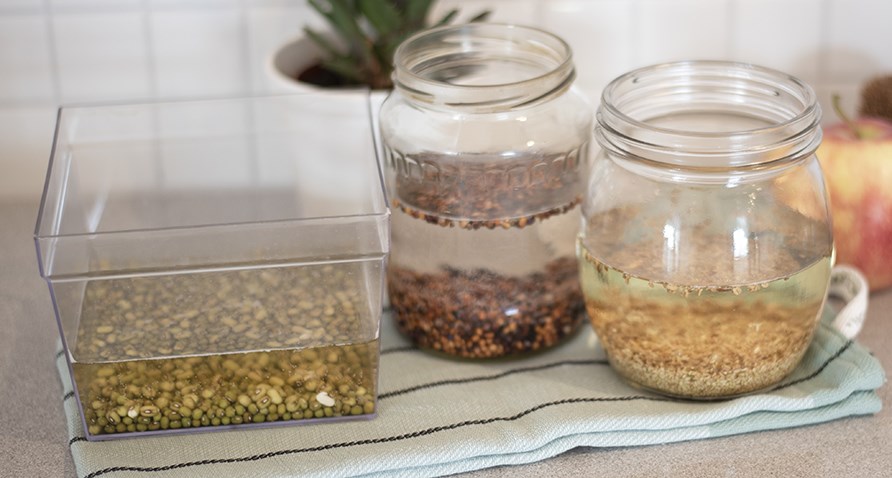 Liottuneet versosiemenet