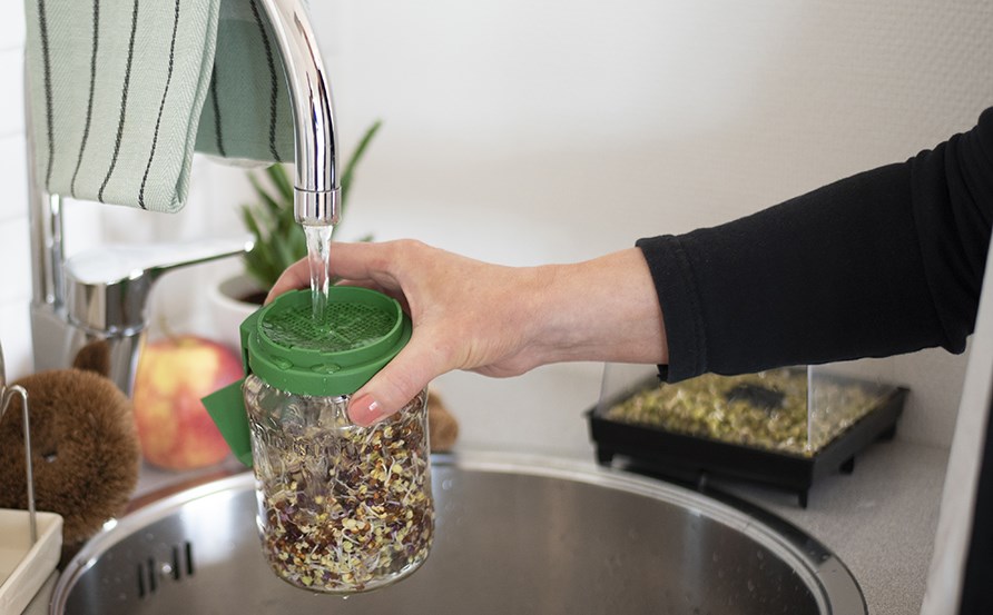 Versot huuhtelemassa