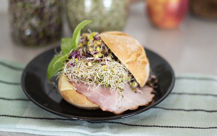 Versot voileiv�ll�