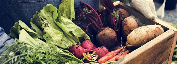 Keskity oikeaan ruokavalioon detoxin aikana