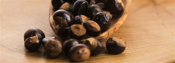 Kaikki kofeiinipitoisesta guaranasta