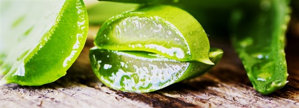 Aloe veran hydyt