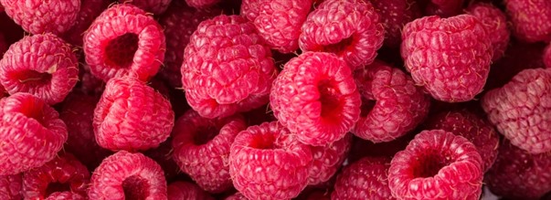 Vadelmaketoni painonhallintaan