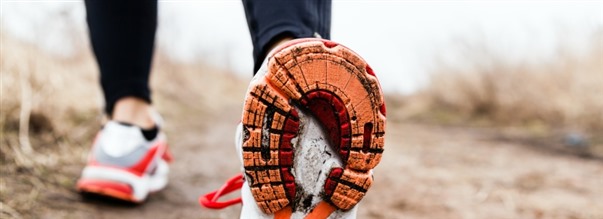 Kvelyn monipuoliset edut