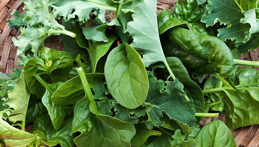 Vihret lehtivihannekset, jotka ovat rautapitoisia.