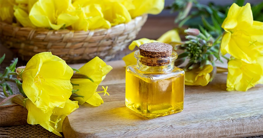 Keltaisia kauniita Iltaruskon kukkia Keltaisia kauniita Iltaruskon kukkia