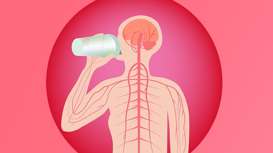 Kuva keskushermostosta