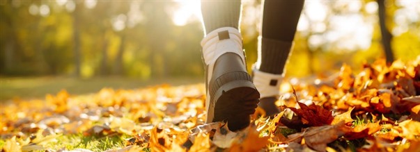 Lismunuaisuupumus - faktaa, myyttej ja tie hyvinvointiin
