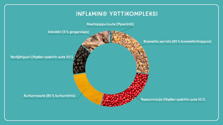 Kuva Inflamin Premiumin kasvi- ja yrttiuutteista.