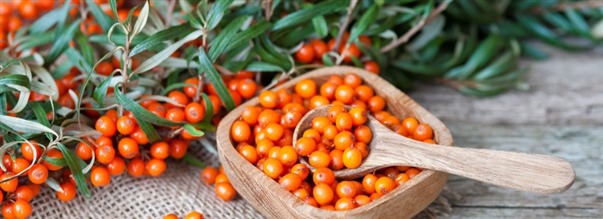 Lisravinteet vaihdevuosiin