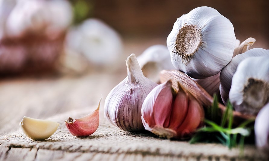 Valkosipulia kulhossa.