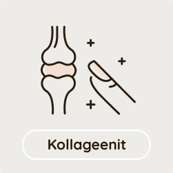 Kollageenit