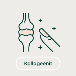 Kollageenit
